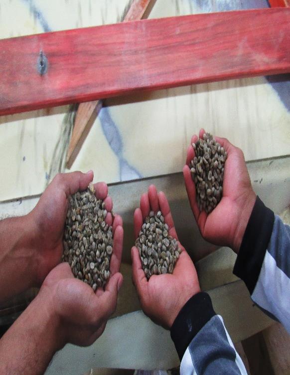Productores