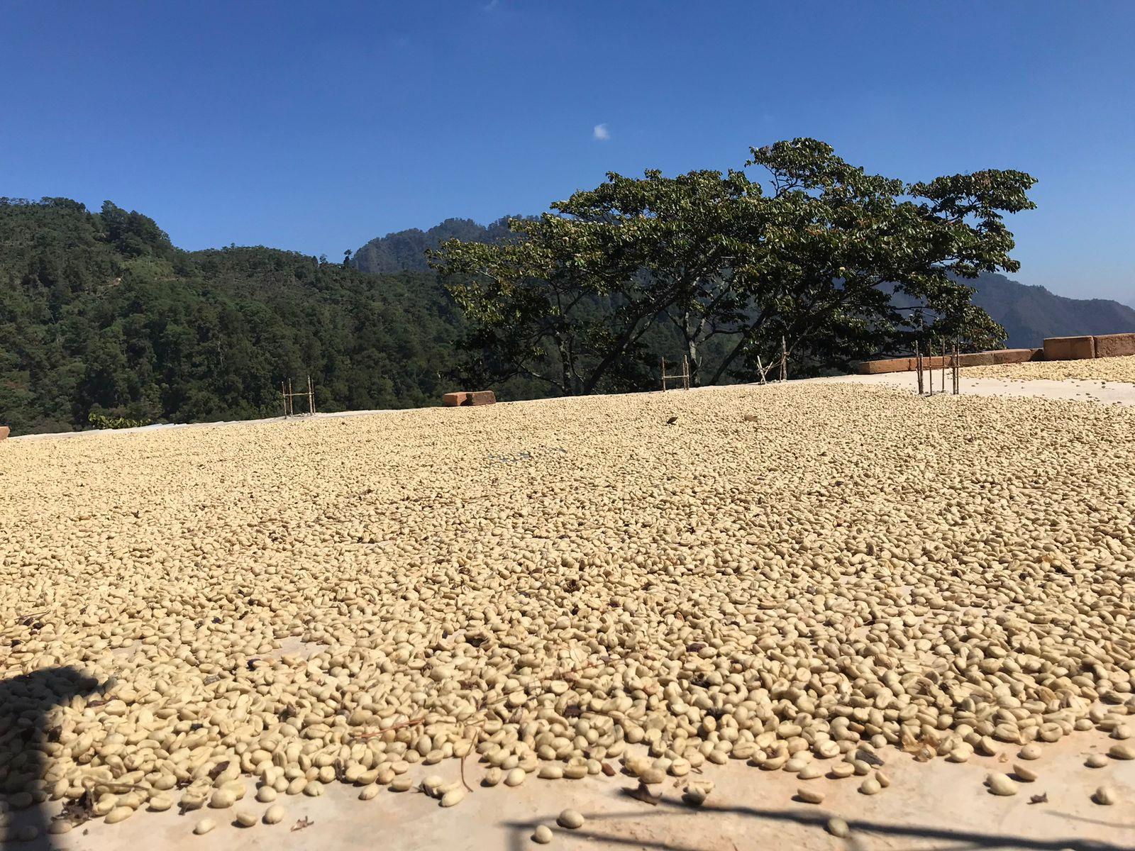 Café de Altura