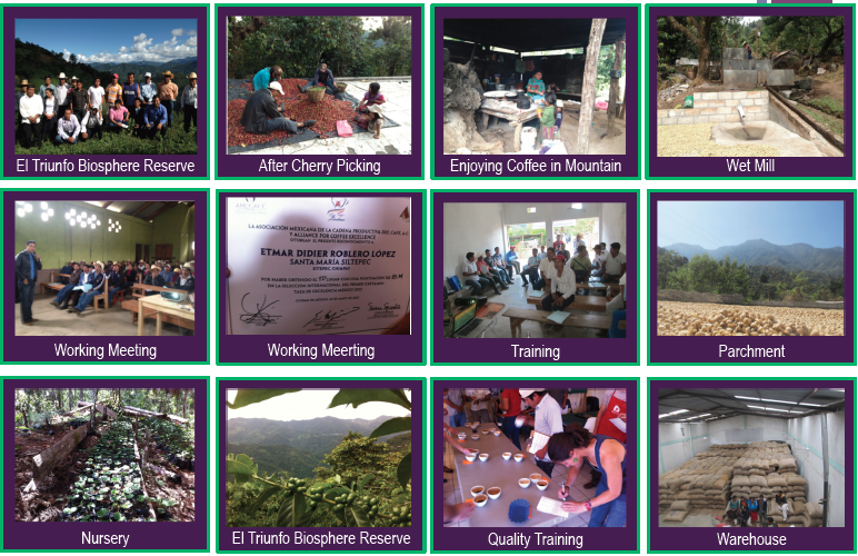 Cafe Gourmet Sierra Azul SC Customer Service